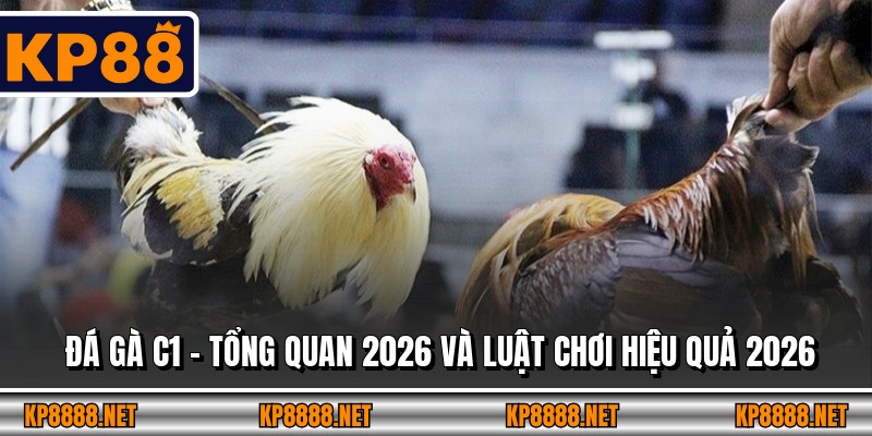 Đá Gà C1 – Tổng Quan 2026 Và Luật Chơi Hiệu Quả 2026